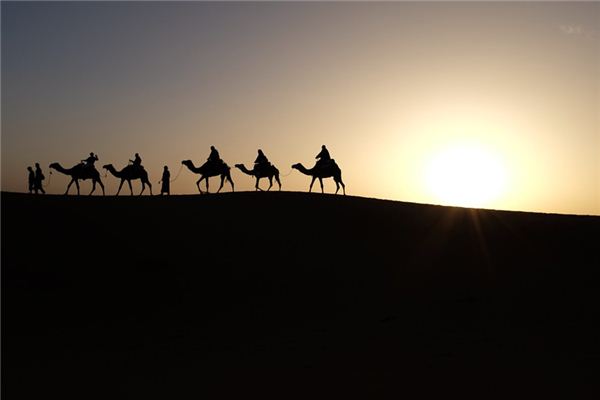 梦见骑骆驼是什么意思
